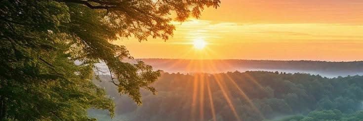 leylayimevet's profile banner image
