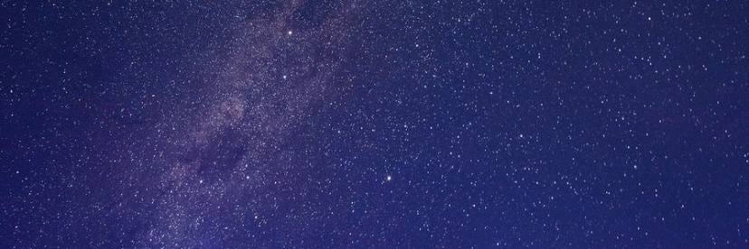 sharkweekRin's profile banner image