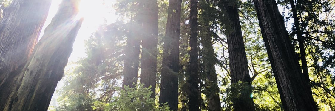 Kathy Keyworth banner