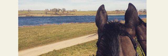 DempseyA_'s profile banner image