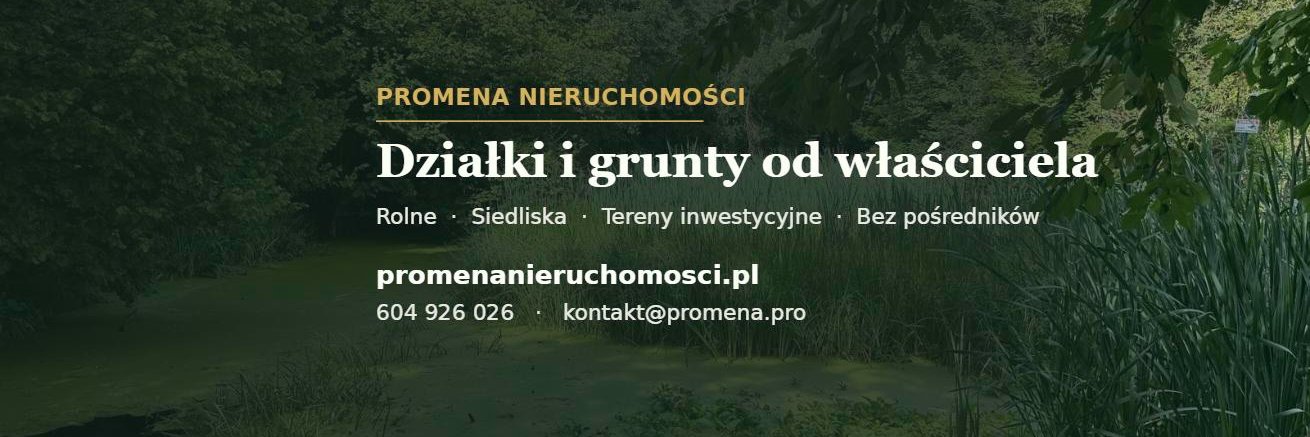 PromenaNieruch's profile banner image