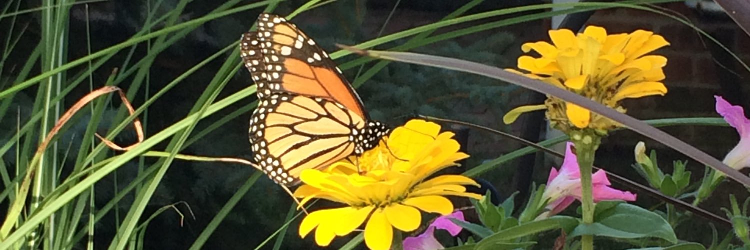 shelliw4055's profile banner image