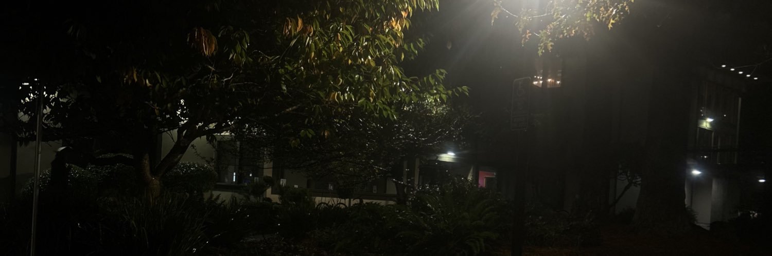X_Chaos_X4's profile banner image
