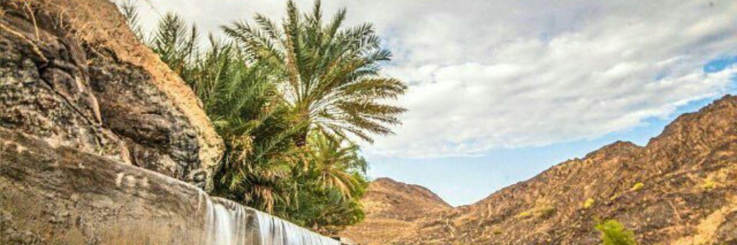 dibawy's profile banner image