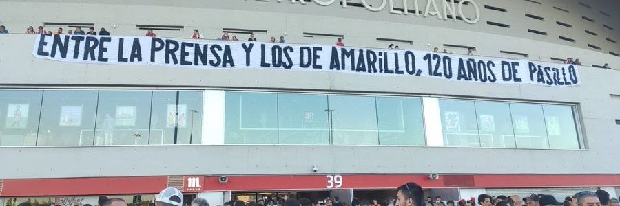 Niño Melon banner