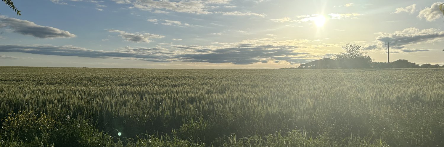 Lux 🌵 banner