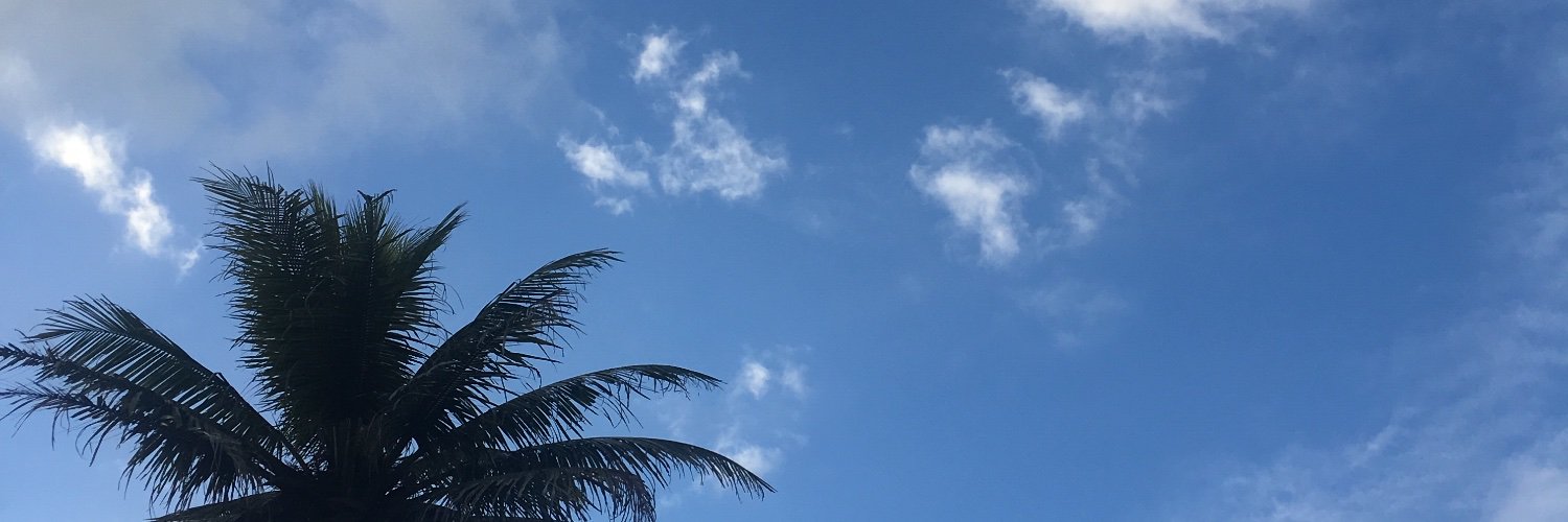 🌸 banner