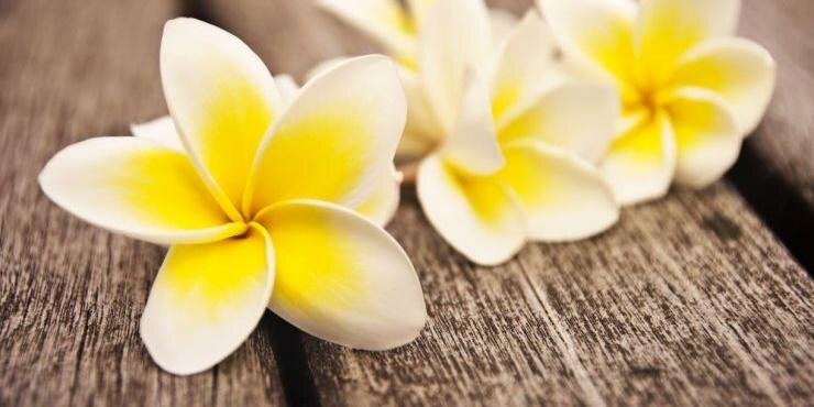 CallMe_Andjy's profile banner image