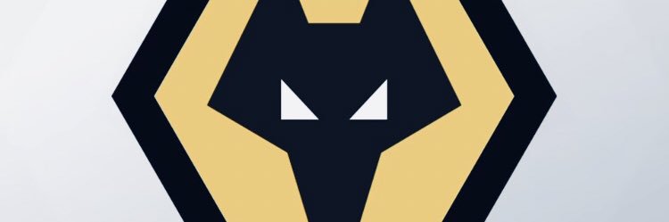 intrepidwolfie's profile banner image