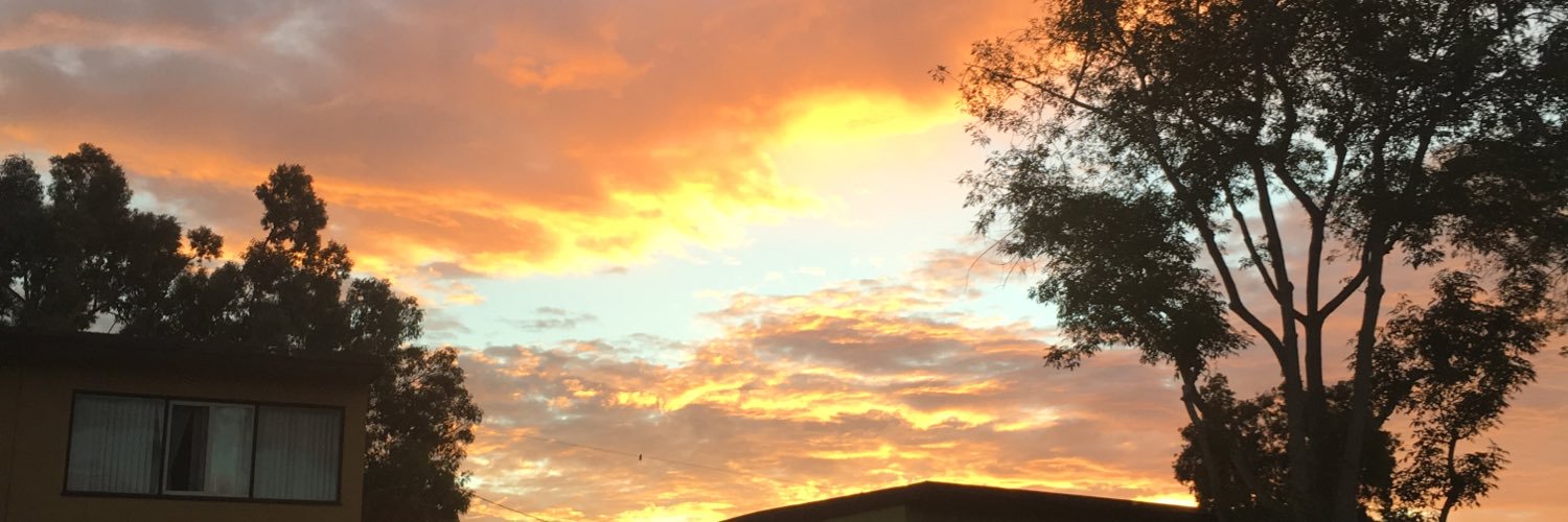 RujaNothaft's profile banner image