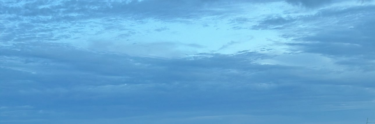 🧸🪼 banner