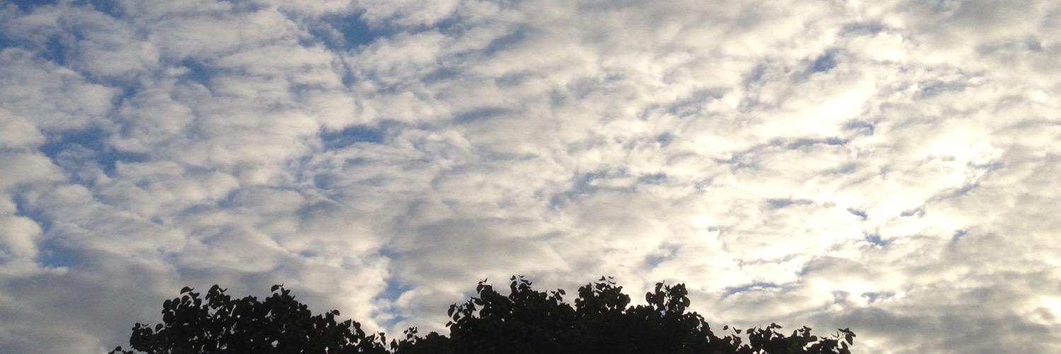 cerise_bleue's profile banner image
