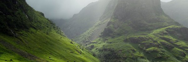 arcfide Profile Banner