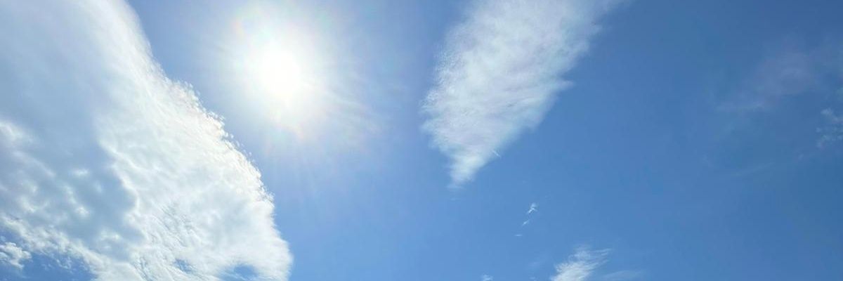 ezgiifdnoglu's profile banner image