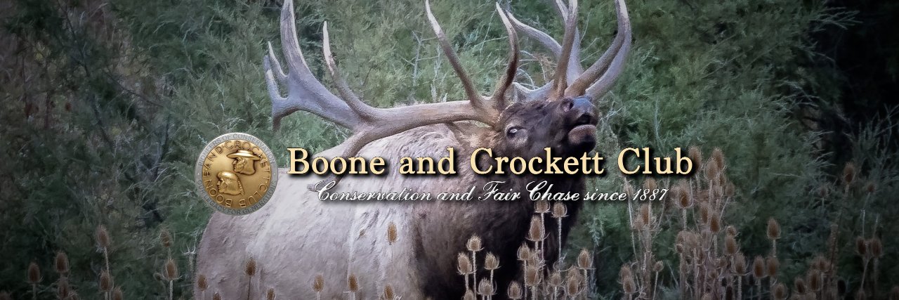 Boone and Crockett Club banner