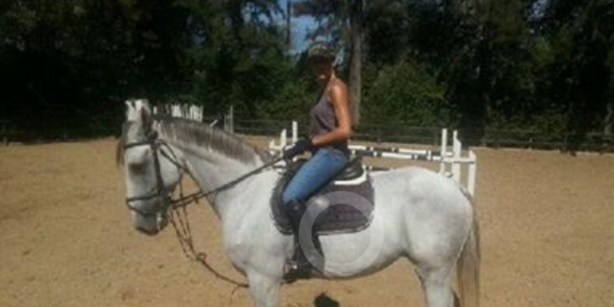 vicky pascual banner