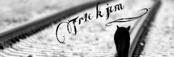 Tr1c_jam's profile banner image