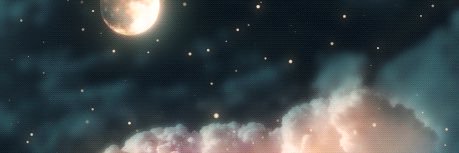 Lizz_C100's profile banner image