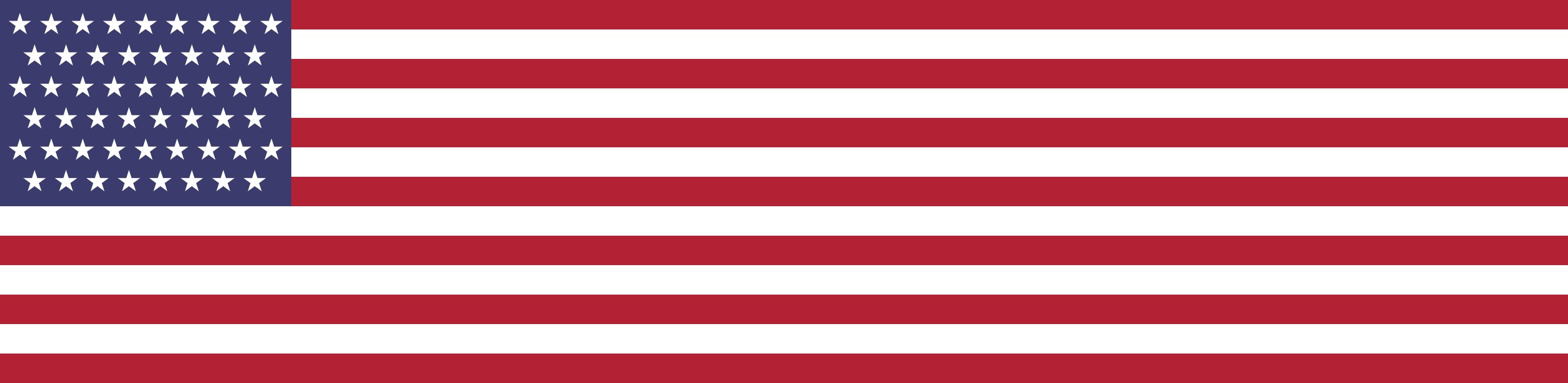 Zorro Boricua 🇺🇸🇵🇷🇮🇱 banner