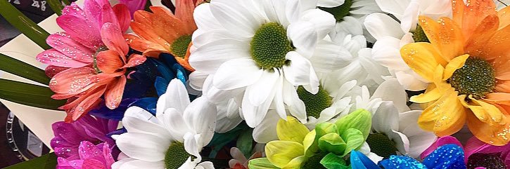 _abbeymerry's profile banner image