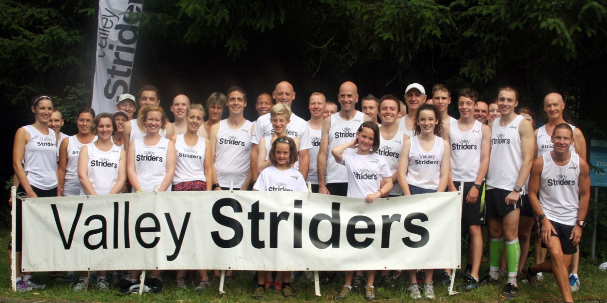 Valley Striders banner