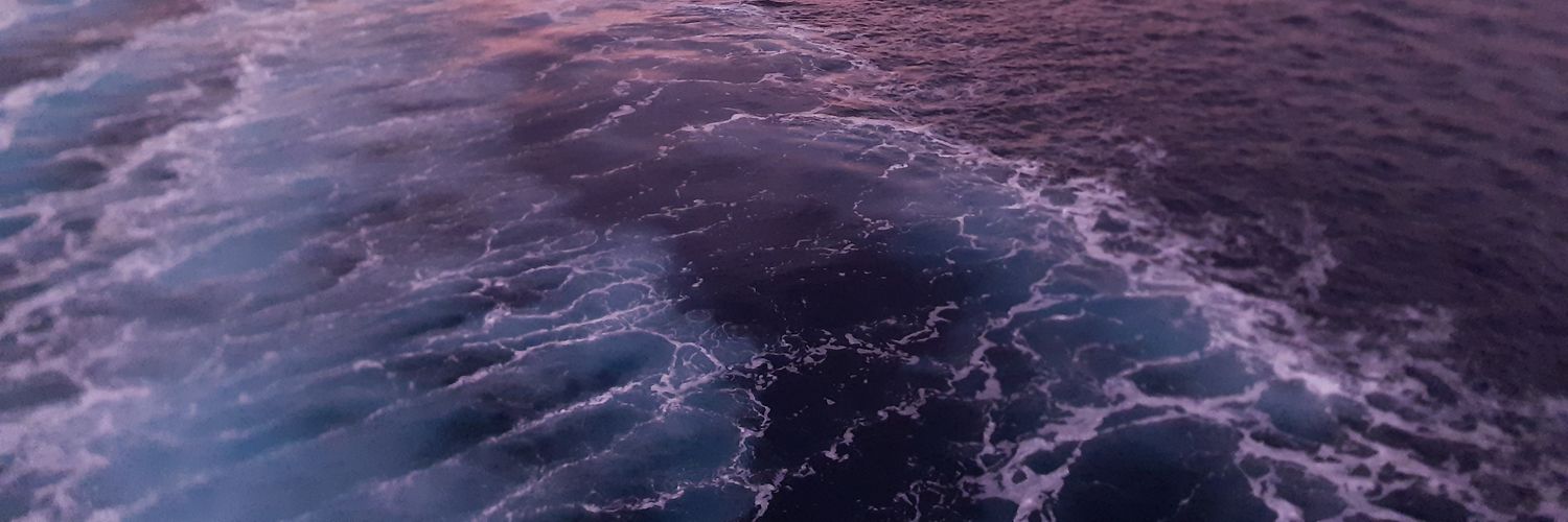 _neruyu_'s profile banner image
