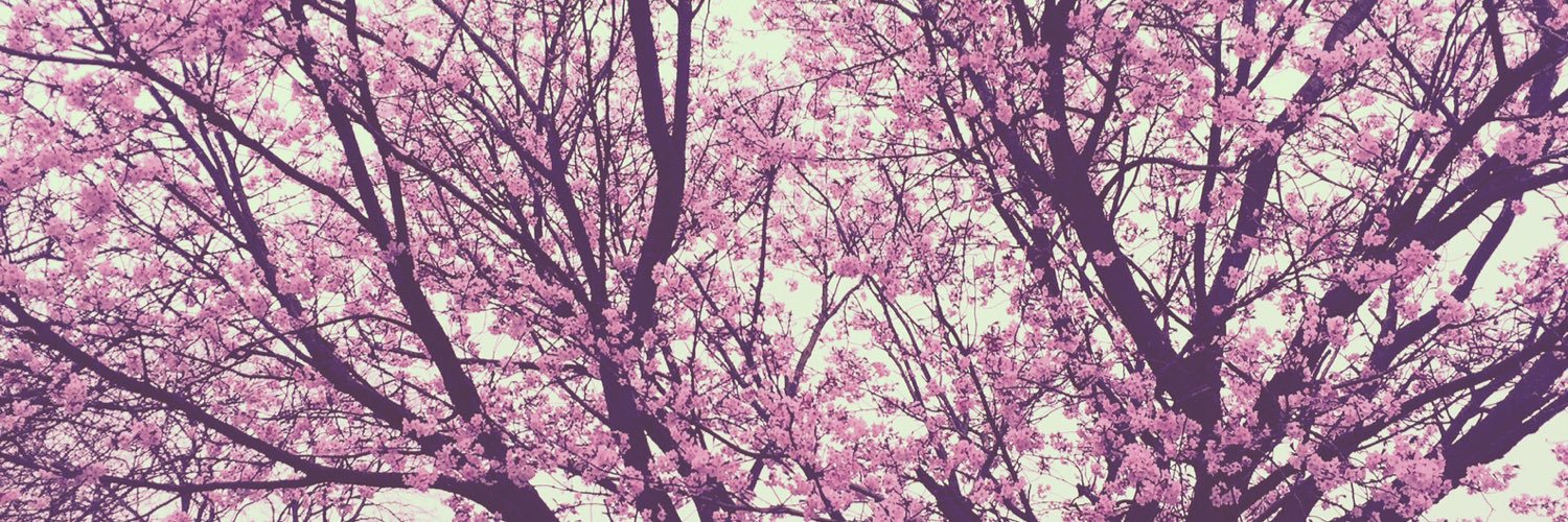 Tammydodger13's profile banner image