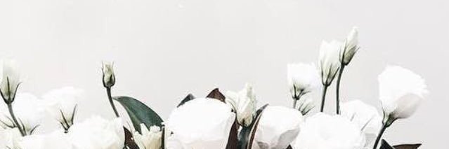 MorganMElliott's profile banner image