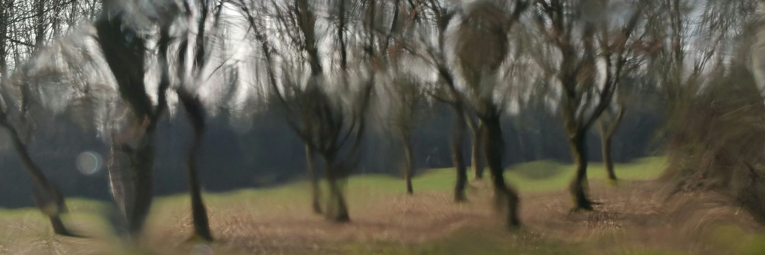 IkaKarl's profile banner image