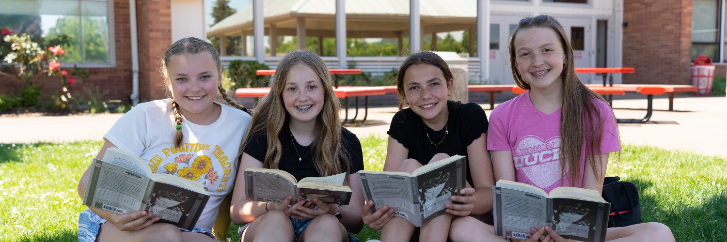 Springfield Schools banner