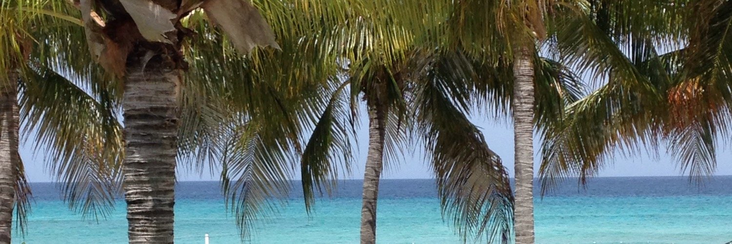 24chels's profile banner image