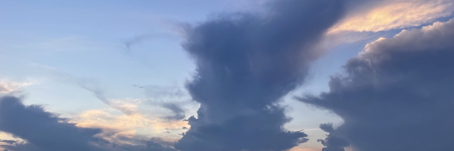 snowm_'s profile banner image