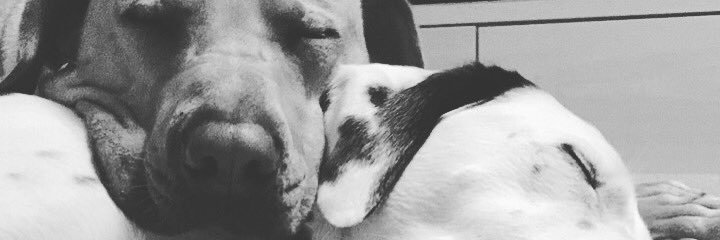 gwitt24's profile banner image
