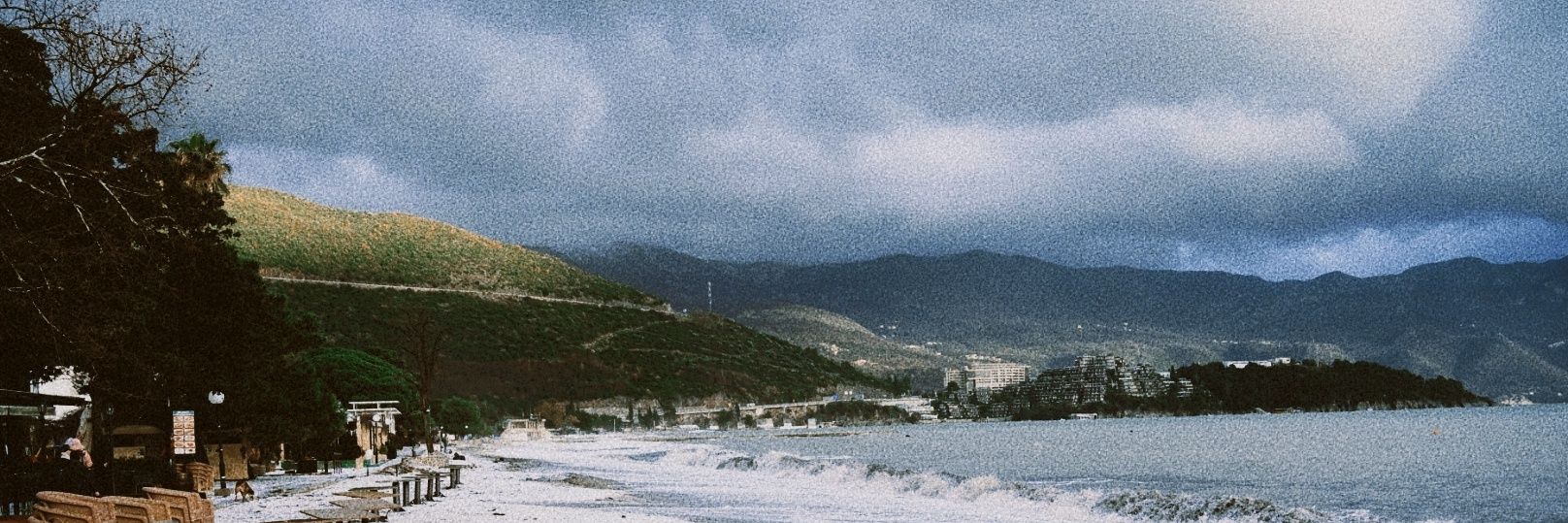 Hobaaa 🕊️ banner