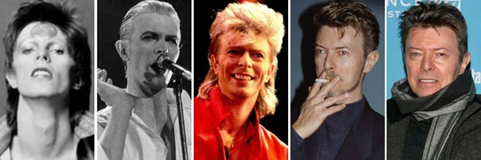 Adryz (LadyStardust) banner