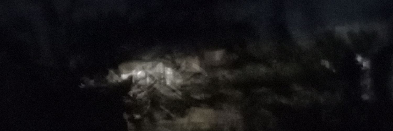Kleeboomerist's profile banner image