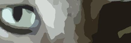 ᒪᗩᘎᖇᗩ 🗡️ banner