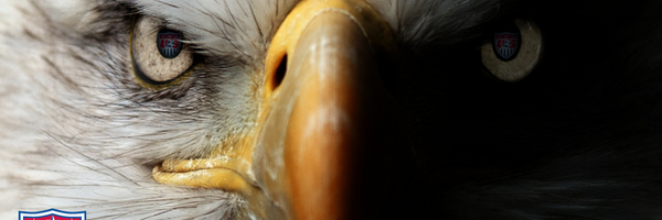StevenDPicariel's profile banner image