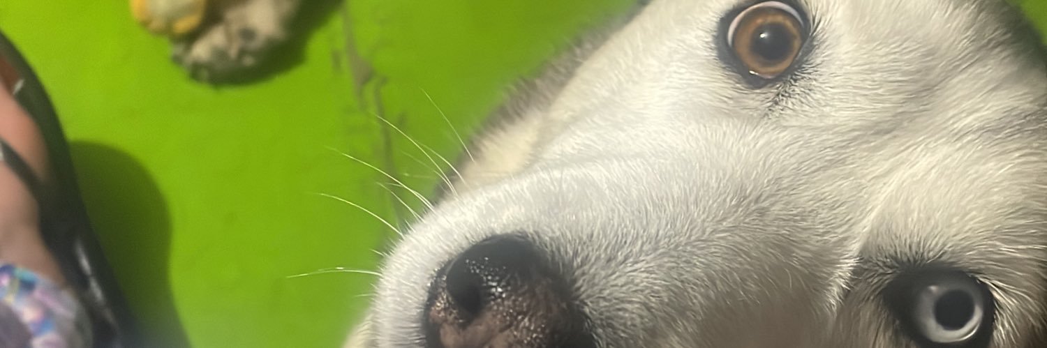 Julieth_Angel's profile banner image