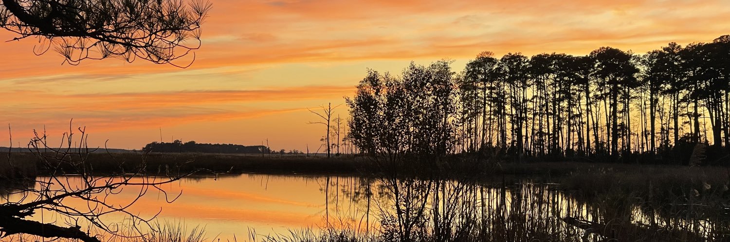 Erica Woodland banner