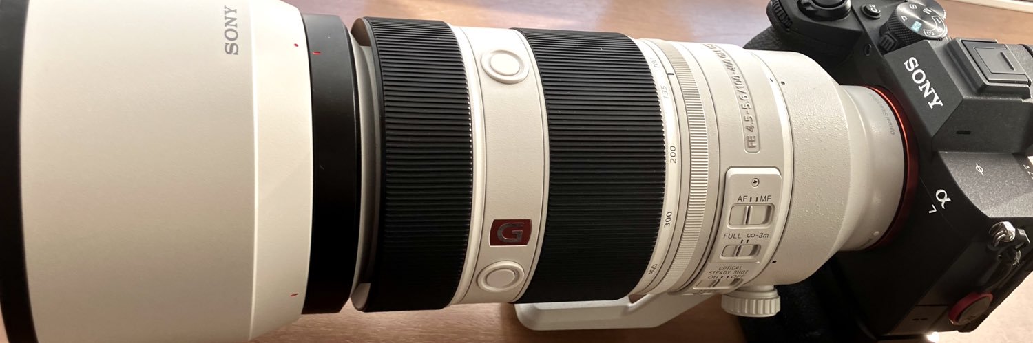 いぬいぬさん🍓🥟 banner