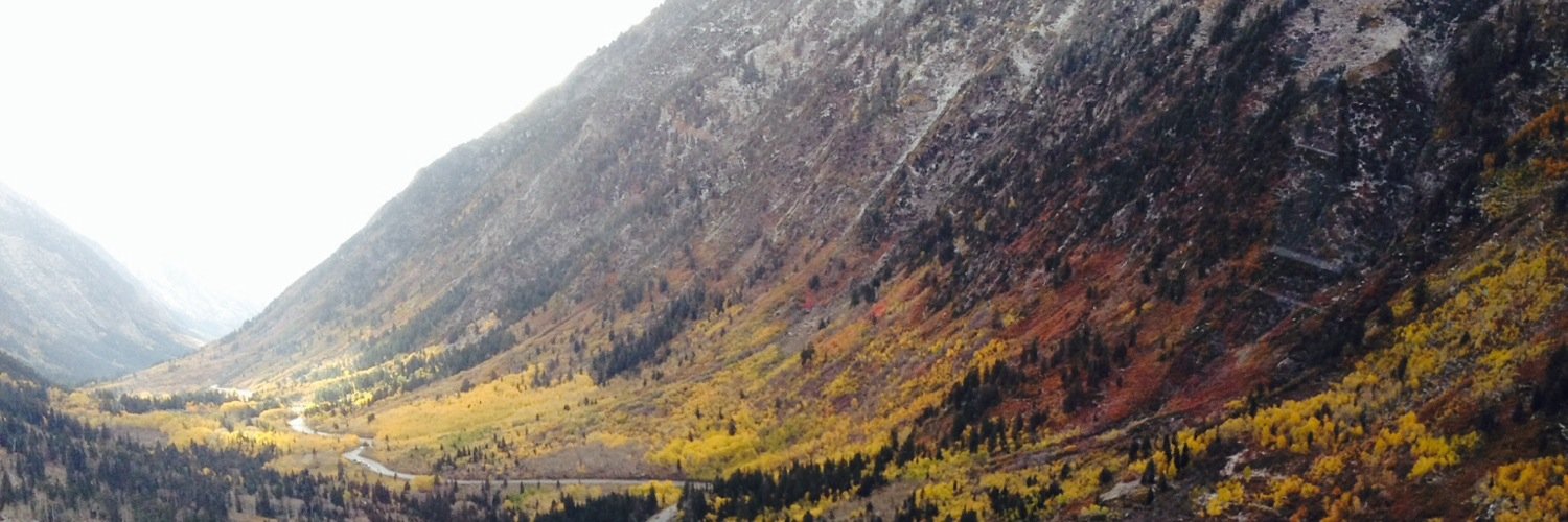 LindzMalone's profile banner image