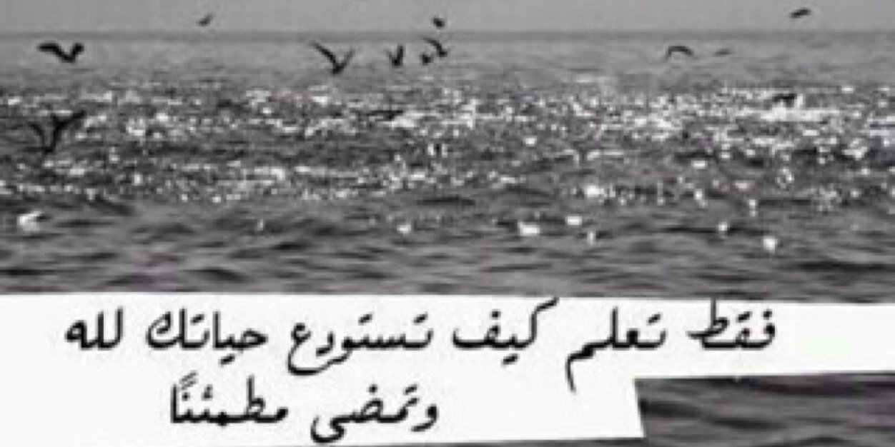 nor_alaml's profile banner image