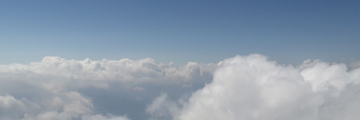 elisa_donolo's profile banner image