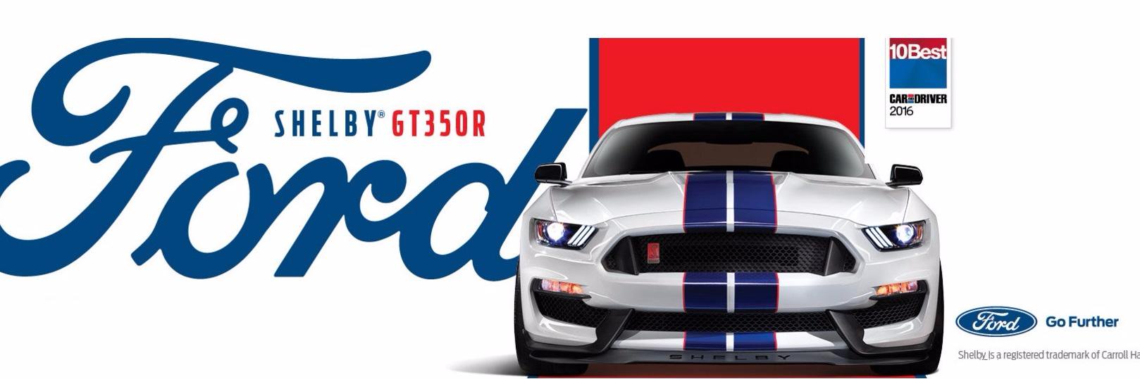 SE MI Ford Dealers banner
