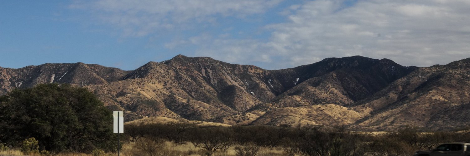 angela gervasi banner