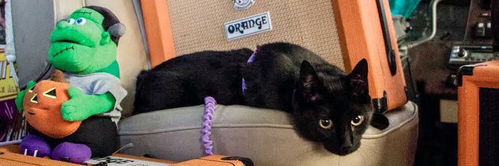 catsonamps's profile banner image