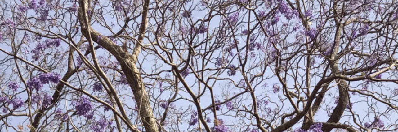yakeex's profile banner image