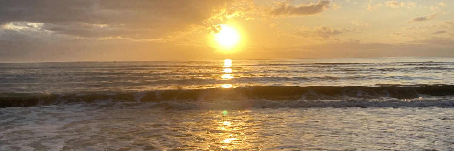 BrittanyCesan's profile banner image
