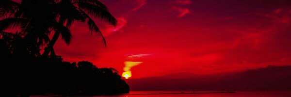 megdalea's profile banner image